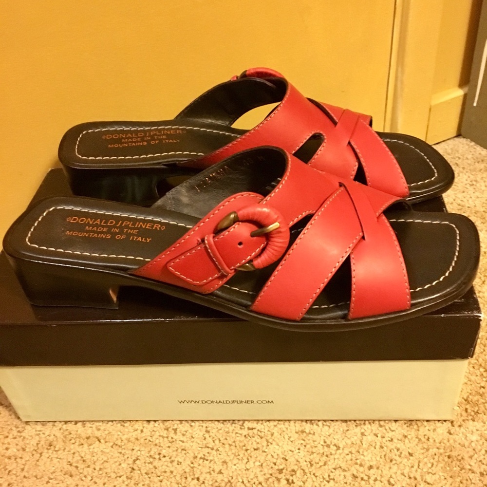 Flash Sale ⚡️ Donald J. Pliner Sandals